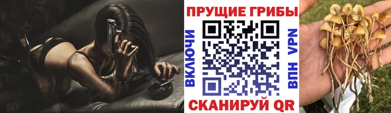 Галлюциногенные грибы мухоморы  что такое наркотик  Белгород 